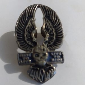 Winged skull pin